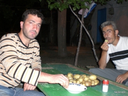 Harmancık 2008